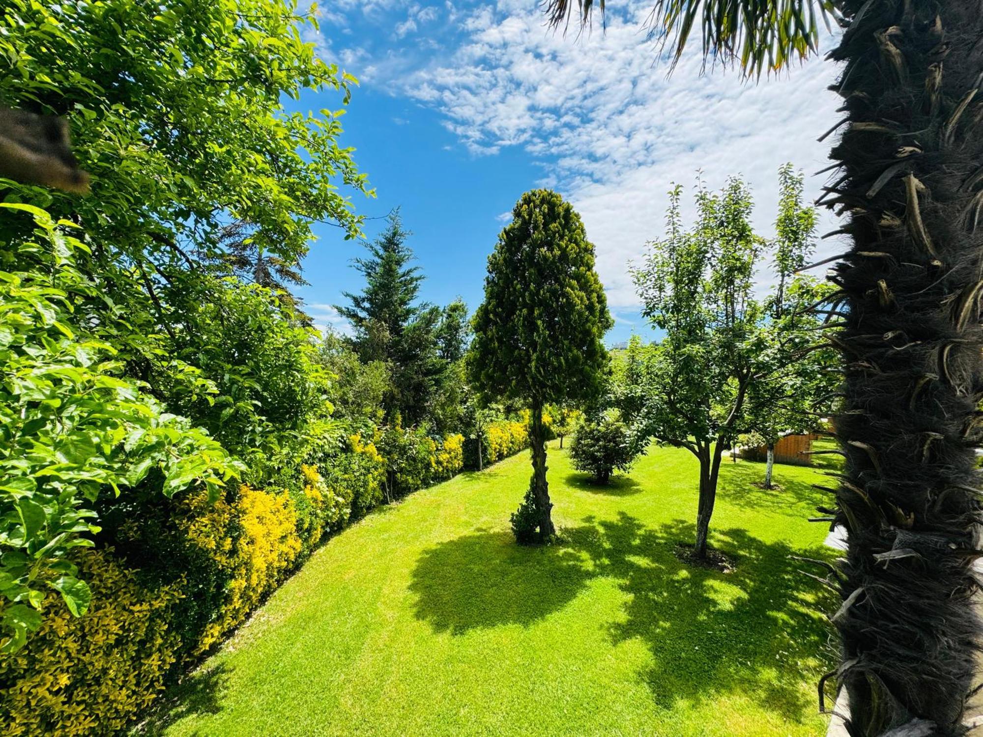 Treekos Suite Hotel Arnavutkoy Exterior photo